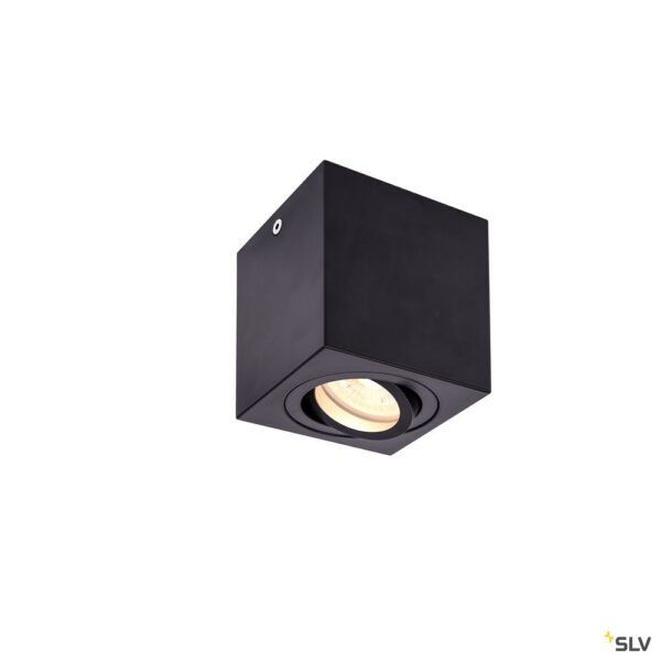 SLV Belgium Triledo CL indoor plafondopbouwlamp QPAR51 zwart max 10W Plafondarmaturen